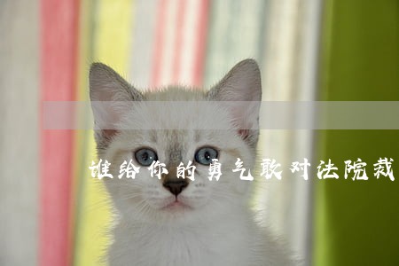 谁给你的勇气敢对法院裁定说不 谁给你的勇气敢对法院裁定说不