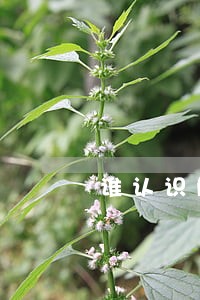 谁认识解决工程欠款的律师 谁认识解决工程欠款的律师