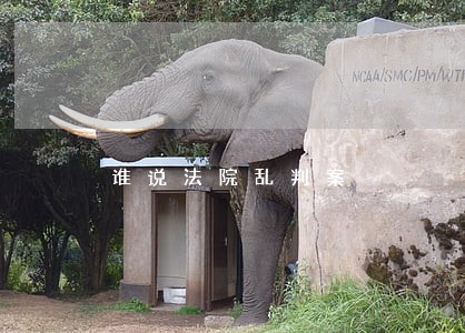 谁说法院乱判案 谁说法院乱判案