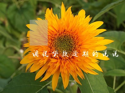调侃贷款逾期的说说 调侃贷款逾期的说说