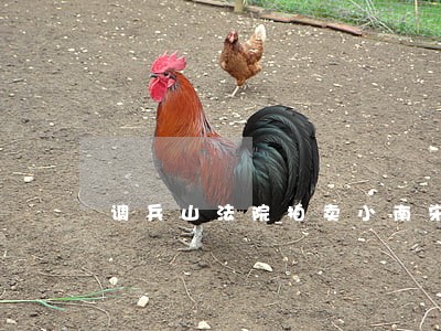 调兵山法院拍卖小南宋荒地 调兵山法院拍卖小南宋荒地
