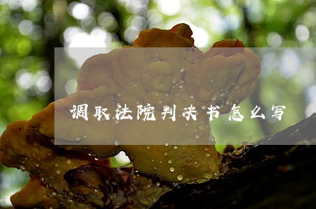 调取法院判决书怎么写 调取法院判决书怎么写
