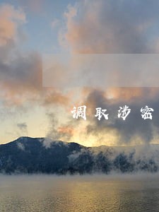 调取涉密地质资料