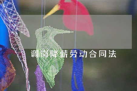 调岗降薪劳动合同法 调岗降薪劳动合同法