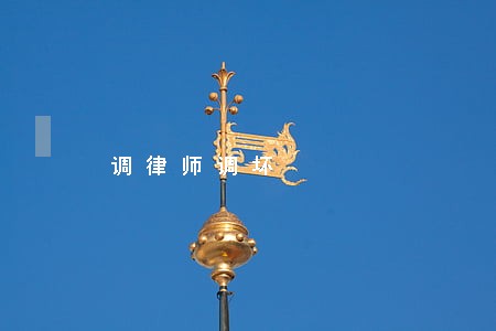 调律师调坏 调律师调坏