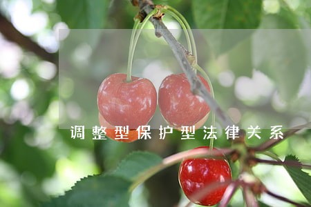 调整型保护型法律关系