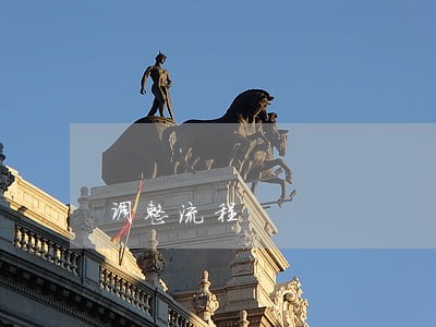 调整流程 调整流程