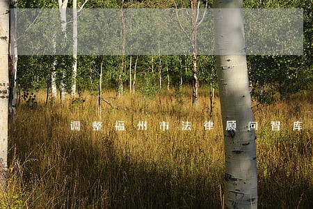 调整福州市法律顾问智库 调整福州市法律顾问智库