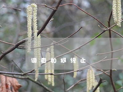 调查如何终止 调查如何终止