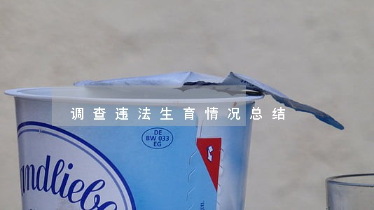 调查违法生育情况总结