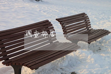 调查邻居 调查邻居