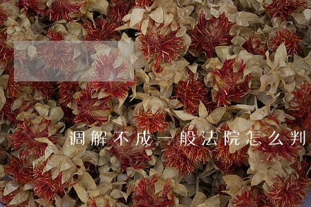调解不成一般法院怎么判