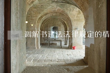 调解书违法法律规定的情形 调解书违法法律规定的情形