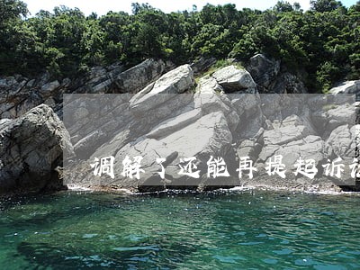 调解了还能再提起诉讼吗 调解了还能再提起诉讼吗