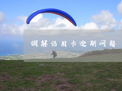 调解信用卡逾期问题
