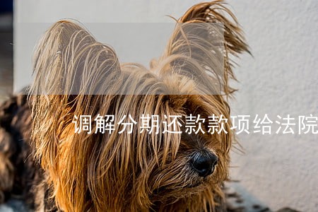 调解分期还款款项给法院吗