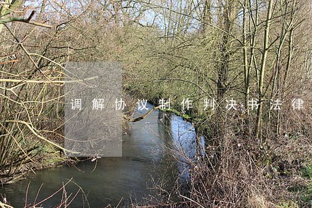调解协议制作判决书法律条文
