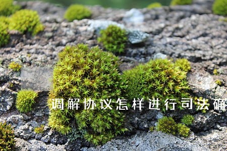 调解协议怎样进行司法确认