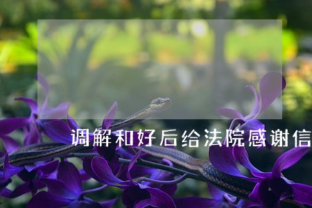 调解和好后给法院感谢信 调解和好后给法院感谢信
