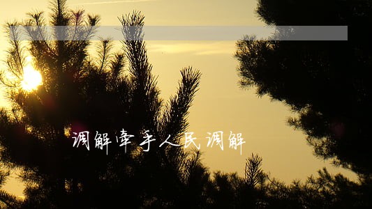 调解牵手人民调解 调解牵手人民调解