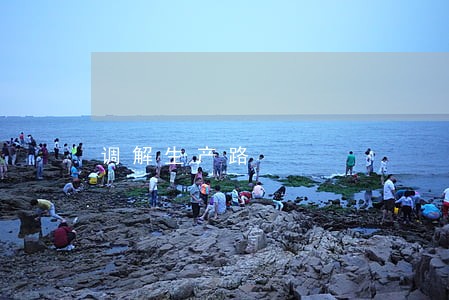 调解生产路 调解生产路