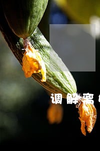 调解离婚要不要钱 调解离婚要不要钱