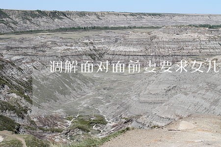 调解面对面前妻要求女儿离婚 调解面对面前妻要求女儿离婚