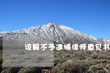 谅解不予逮捕律师意见书 谅解不予逮捕律师意见书