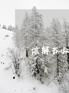 谅解书必须要通过律师吗