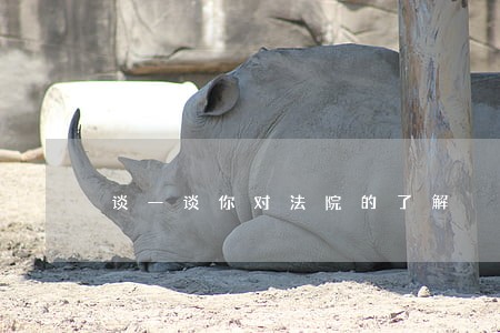 谈一谈你对法院的了解 谈一谈你对法院的了解