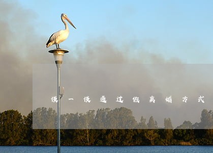 谈一谈通过假离婚方式购房的风险 谈一谈通过假离婚方式购房的风险