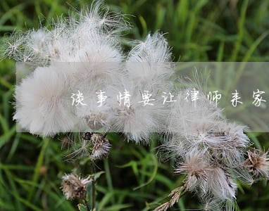 谈事情要让律师来家里吗 谈事情要让律师来家里吗