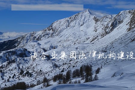 谈企业集团法律机构建设 谈企业集团法律机构建设