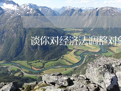 谈你对经济法调整对象 谈你对经济法调整对象