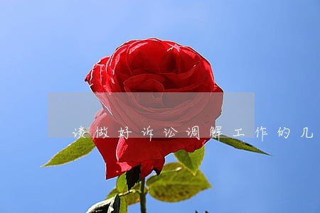 谈做好诉讼调解工作的几个方面 谈做好诉讼调解工作的几个方面