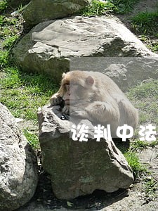 谈判中法律顾问的意思 谈判中法律顾问的意思