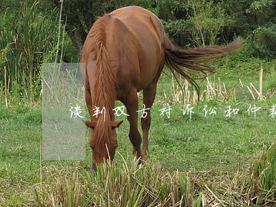 谈判双方对诉讼和仲裁争执 谈判双方对诉讼和仲裁争执