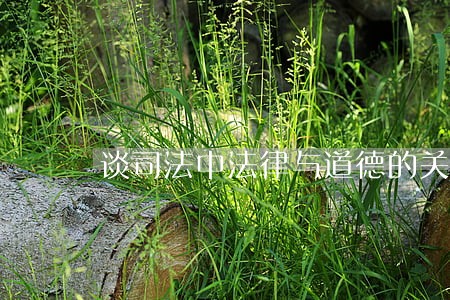 谈司法中法律与道德的关系 谈司法中法律与道德的关系