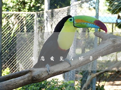 谈恋爱至人怀孕违法吗 谈恋爱至人怀孕违法吗