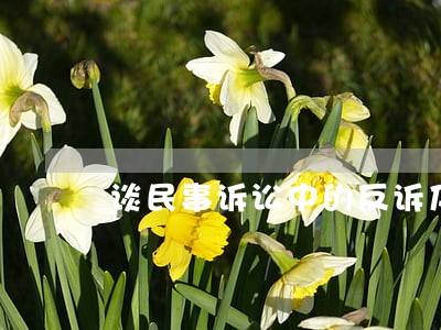 谈民事诉讼中的反诉及处理 谈民事诉讼中的反诉及处理