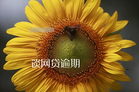 谈网贷逾期 谈网贷逾期