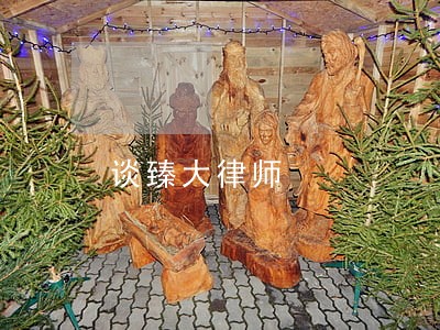 谈臻大律师