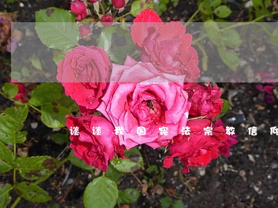 谈谈我国宪法宗教信仰自由的意义 谈谈我国宪法宗教信仰自由的意义