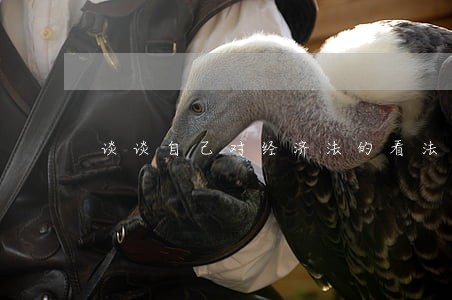 谈谈自己对经济法的看法 谈谈自己对经济法的看法