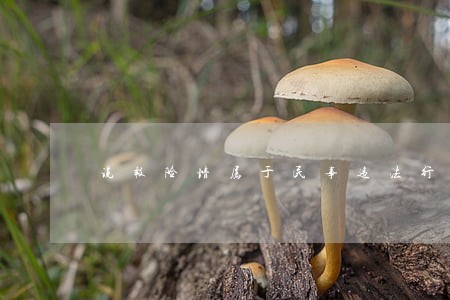 谎报险情属于民事违法行为吗 谎报险情属于民事违法行为吗