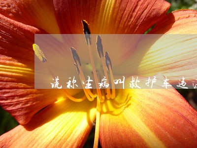 谎称生病叫救护车违法吗 谎称生病叫救护车违法吗