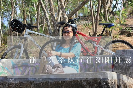 谢卫东率队前往浏阳开展立法调研 谢卫东率队前往浏阳开展立法调研
