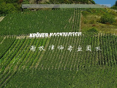 谢双律师专业团队 谢双律师专业团队