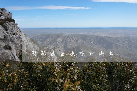 谢家集区法院判决书 谢家集区法院判决书