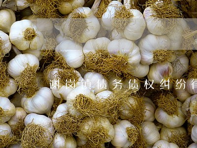 谢岗镇债务债权纠纷律师咨询 谢岗镇债务债权纠纷律师咨询